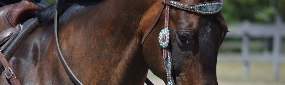 WELCOME TO B'N'R STABLES
